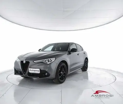 Used ALFA ROMEO STELVIO Diesel 2021 Ad 