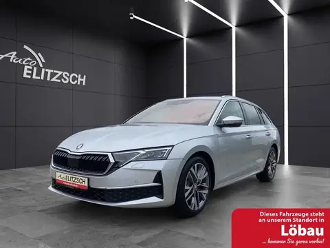 Annonce SKODA OCTAVIA Diesel 2024 d'occasion 