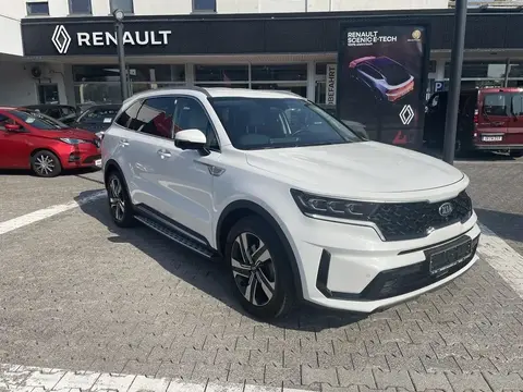 Annonce KIA SORENTO Hybride 2021 d'occasion 