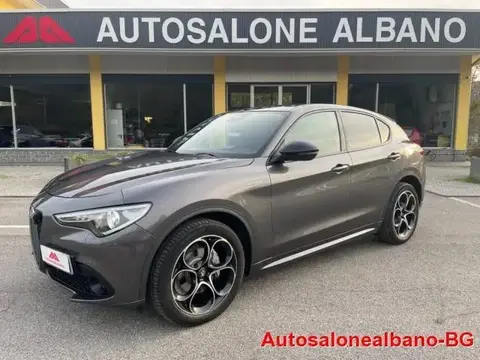 Used ALFA ROMEO STELVIO Diesel 2022 Ad 