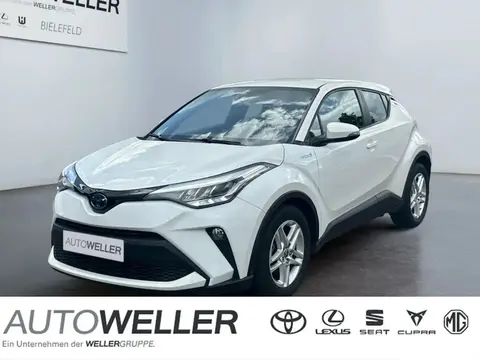 Used TOYOTA C-HR Hybrid 2021 Ad 