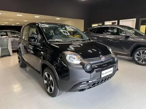 Used FIAT PANDA Hybrid 2023 Ad 