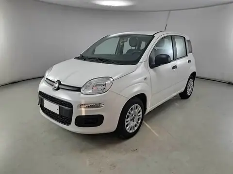 Annonce FIAT PANDA Essence 2020 d'occasion 