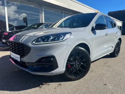 Used FORD KUGA Hybrid 2023 Ad 