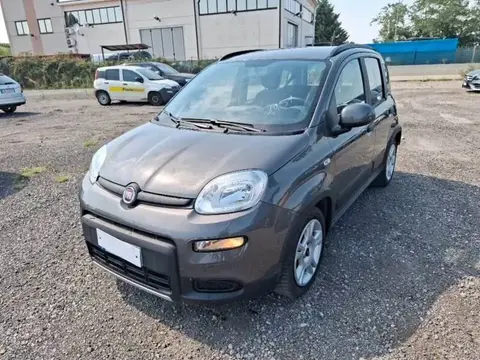 Used FIAT PANDA Hybrid 2023 Ad 