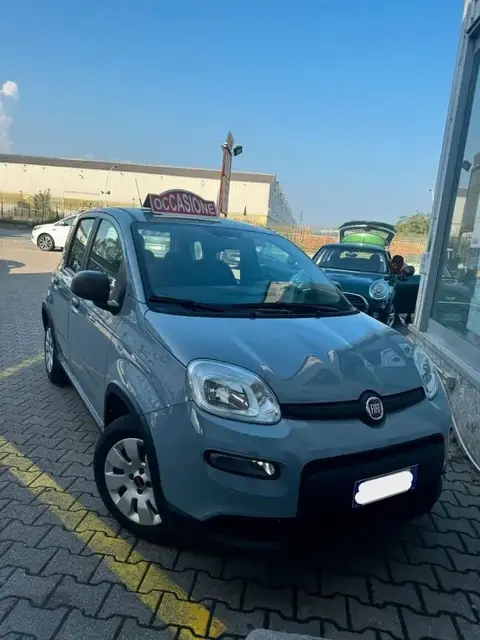 Annonce FIAT PANDA Hybride 2023 d'occasion 