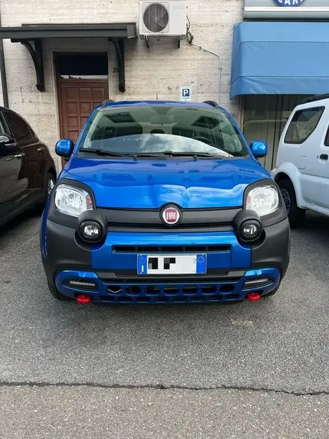 Used FIAT PANDA Hybrid 2023 Ad 