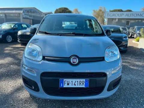 Used FIAT PANDA LPG 2019 Ad 