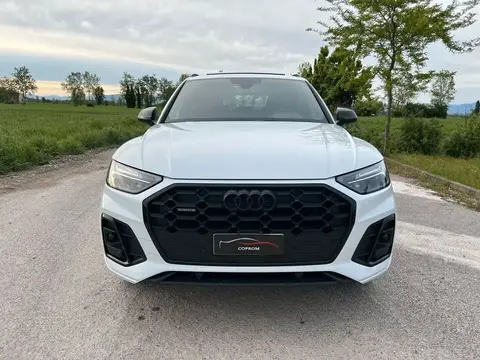 Used AUDI Q5 Hybrid 2021 Ad 