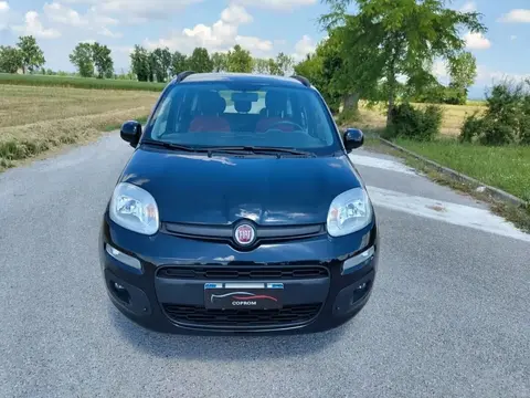 Used FIAT PANDA Petrol 2019 Ad 