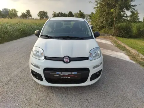 Annonce FIAT PANDA Diesel 2018 d'occasion 