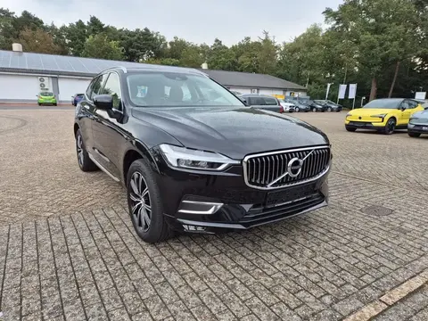 Annonce VOLVO XC60 Diesel 2019 d'occasion 