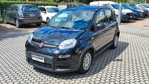 Used FIAT PANDA Hybrid 2023 Ad 