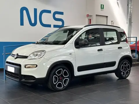 Used FIAT PANDA Hybrid 2022 Ad 