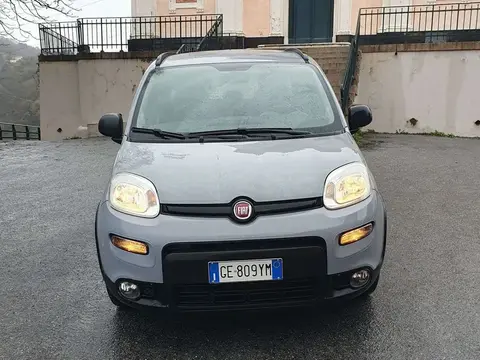 Annonce FIAT PANDA Hybride 2021 d'occasion 