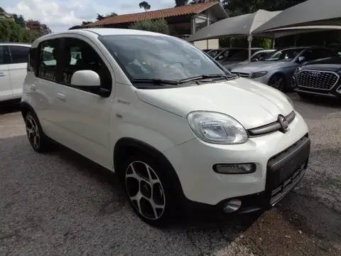 Annonce FIAT PANDA Hybride 2021 d'occasion 