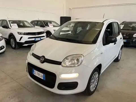 Annonce FIAT PANDA Essence 2020 d'occasion 