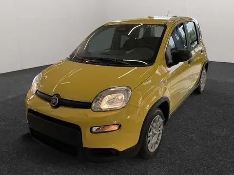 Annonce FIAT PANDA Hybride 2024 d'occasion 