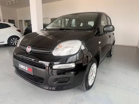 Used FIAT PANDA Petrol 2017 Ad 