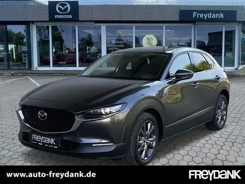 Annonce MAZDA CX-30 Hybride 2021 d'occasion 