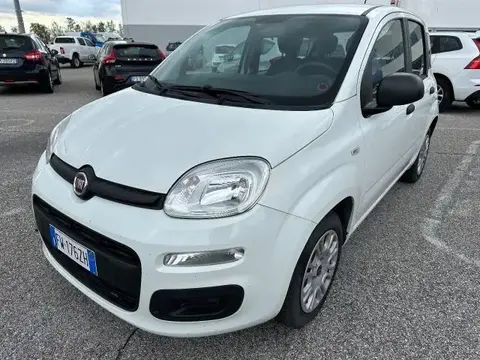 Annonce FIAT PANDA Diesel 2019 d'occasion 