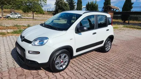 Annonce FIAT PANDA  2021 d'occasion 