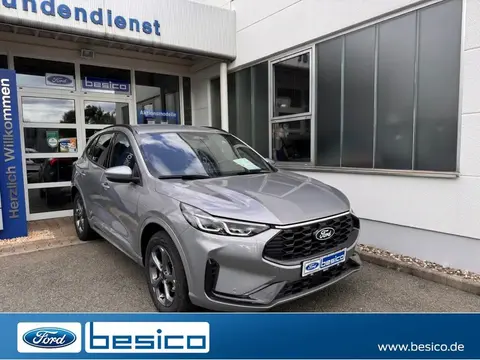 Annonce FORD KUGA Hybride 2024 d'occasion 