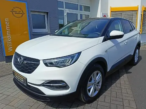 Used OPEL GRANDLAND Petrol 2020 Ad 