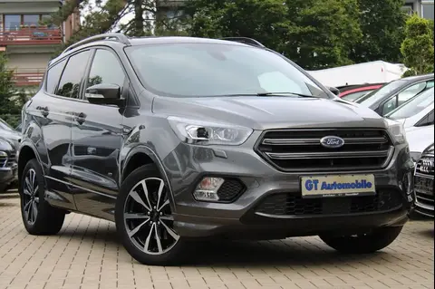 Used FORD KUGA Diesel 2019 Ad 