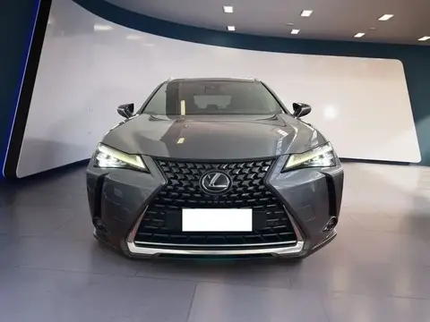 Annonce LEXUS UX Hybride 2019 d'occasion 