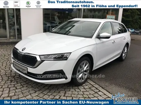 Annonce SKODA OCTAVIA Essence 2024 d'occasion 