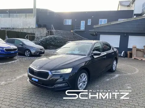 Used SKODA OCTAVIA Petrol 2023 Ad 