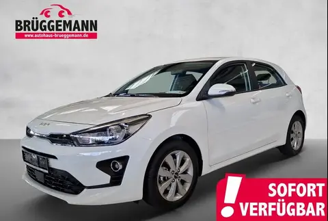 Annonce KIA RIO Essence 2023 d'occasion 