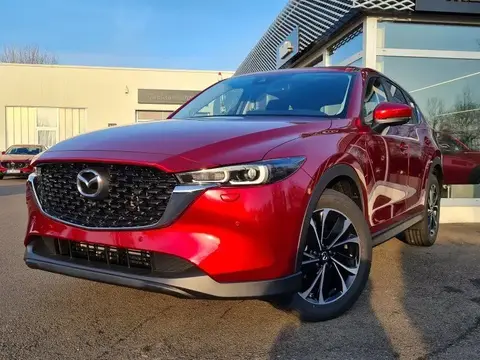 Annonce MAZDA CX-5 Essence 2024 d'occasion 