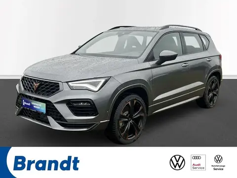 Used CUPRA ATECA Petrol 2024 Ad 