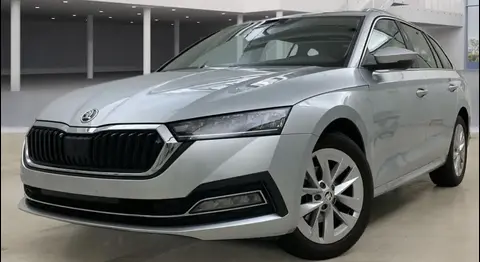 Annonce SKODA OCTAVIA Essence 2023 d'occasion 