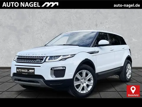 Annonce LAND ROVER RANGE ROVER EVOQUE Diesel 2017 d'occasion 