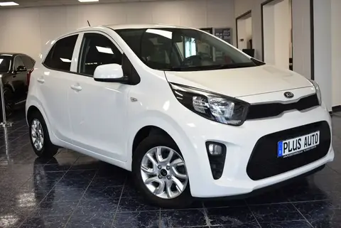 Used KIA PICANTO Petrol 2019 Ad 