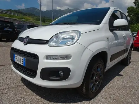 Used FIAT PANDA Diesel 2016 Ad 