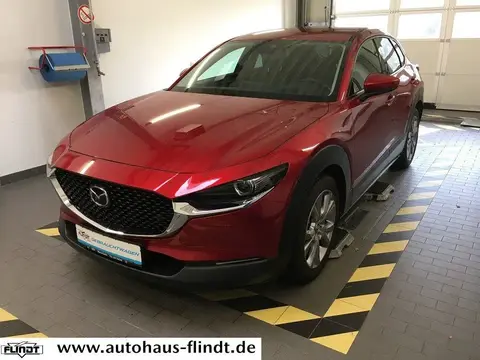 Used MAZDA CX-30 Hybrid 2021 Ad 