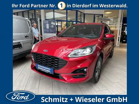 Annonce FORD KUGA Hybride 2021 d'occasion 