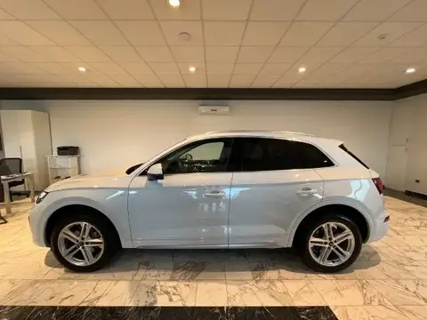 Used AUDI Q5 Hybrid 2023 Ad 