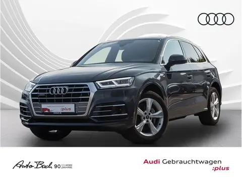 Used AUDI Q5 Diesel 2020 Ad 