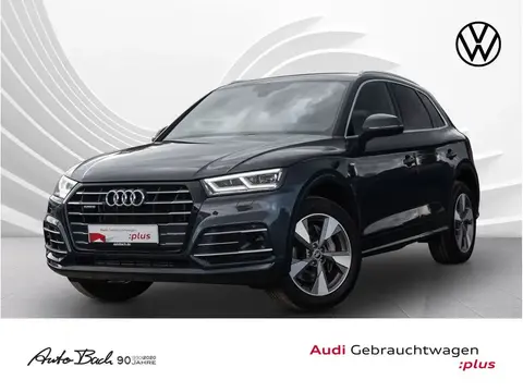 Used AUDI Q5 Hybrid 2021 Ad 