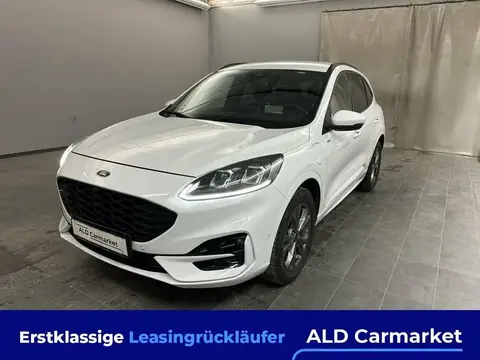 Used FORD KUGA Hybrid 2021 Ad 