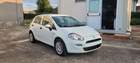 Used FIAT PUNTO Petrol 2017 Ad 