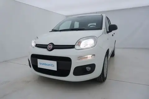 Used FIAT PANDA Diesel 2018 Ad 