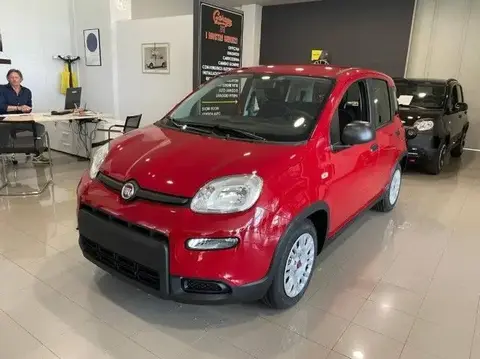 Used FIAT PANDA Hybrid 2024 Ad 