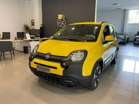 Used FIAT PANDA Hybrid 2024 Ad 