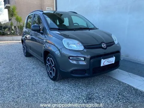 Annonce FIAT PANDA Hybride 2021 d'occasion 